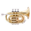 Pockettrumpet John Packer JP159