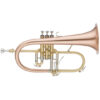 Flygelhorn John Packer JP275SW