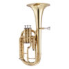 Althorn John Packer JP172, lackerat