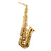 Altsaxofon Trevor James The Horn 3730G, lackerad