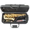 Altsaxofon Trevor James The Horn 3730G, lackerad - Bild 2
