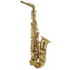 Altsaxofon Trevor James SC