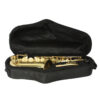 Altsaxofon Trevor James Alpha 371A2, lackerad - Bild 2