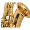 Tenorsaxofon Trevor James The Horn 3830G, lackerad - Bild 2