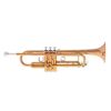 Trumpet i B♭ Yamaha YTR-4335GII, gold brass