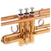 Trumpet i B♭ Yamaha YTR-4335GII, gold brass - Bild 2