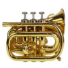 Minitrumpet i Bb CarolBrass CPT-1000-YSS, lackerad